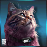 Mini Caméra pour Chat